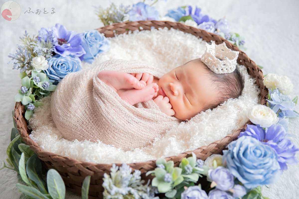 菊川えりこのポートフォリオ5