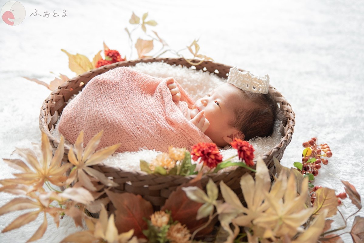 菊川えりこのポートフォリオ7