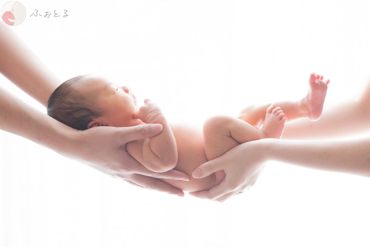 菊川えりこのポートフォリオ0