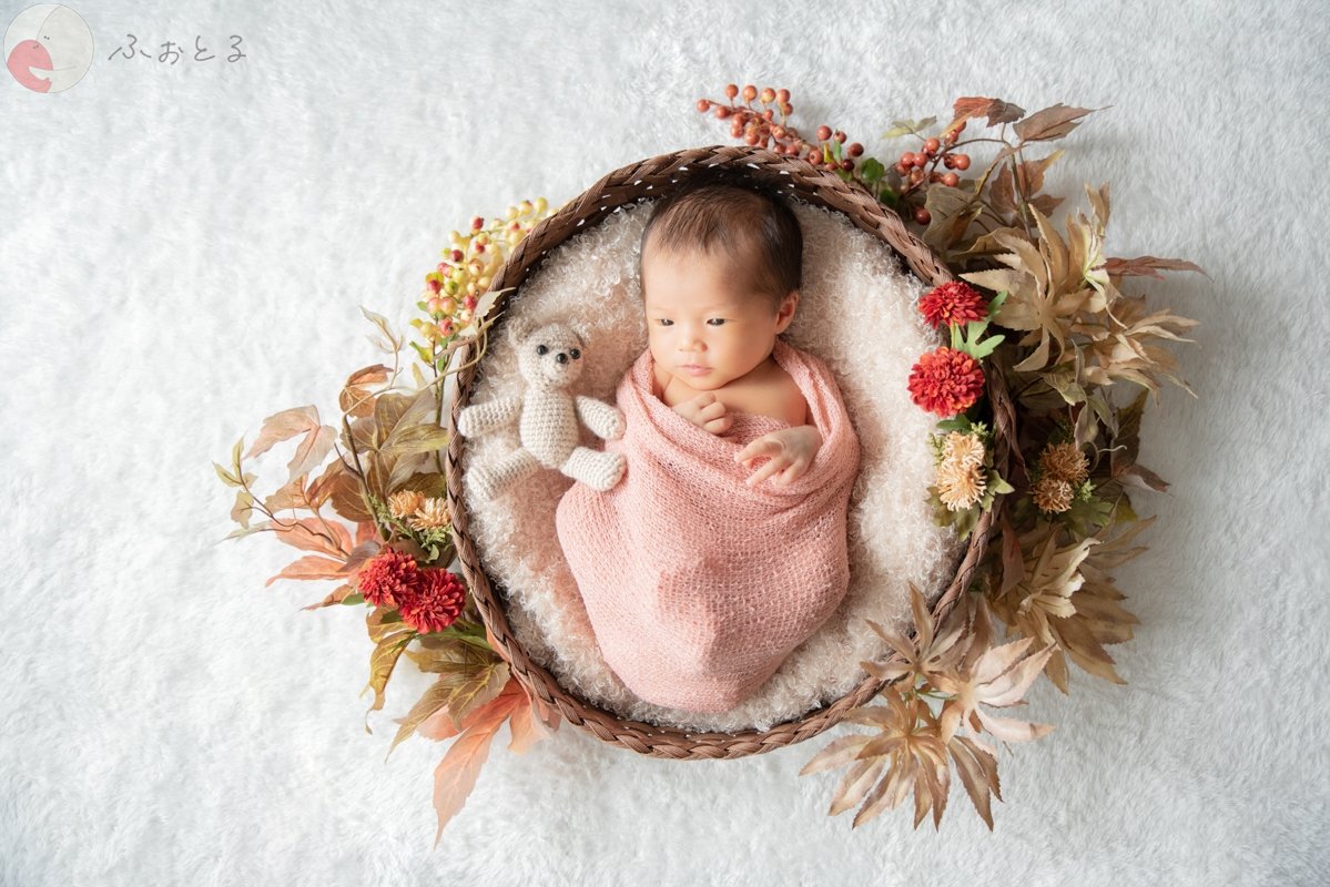 菊川えりこのポートフォリオ4