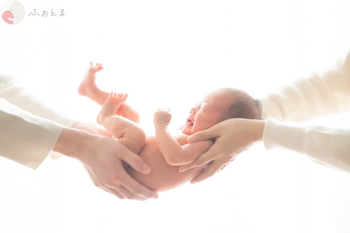 菊川えりこのポートフォリオ6