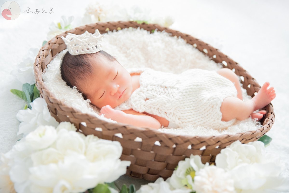 菊川えりこのポートフォリオ8