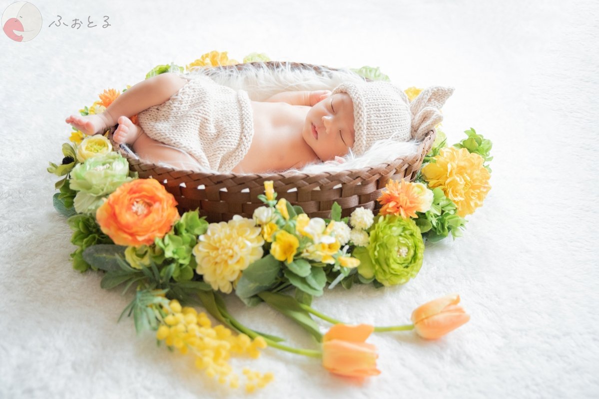 菊川えりこのポートフォリオ9