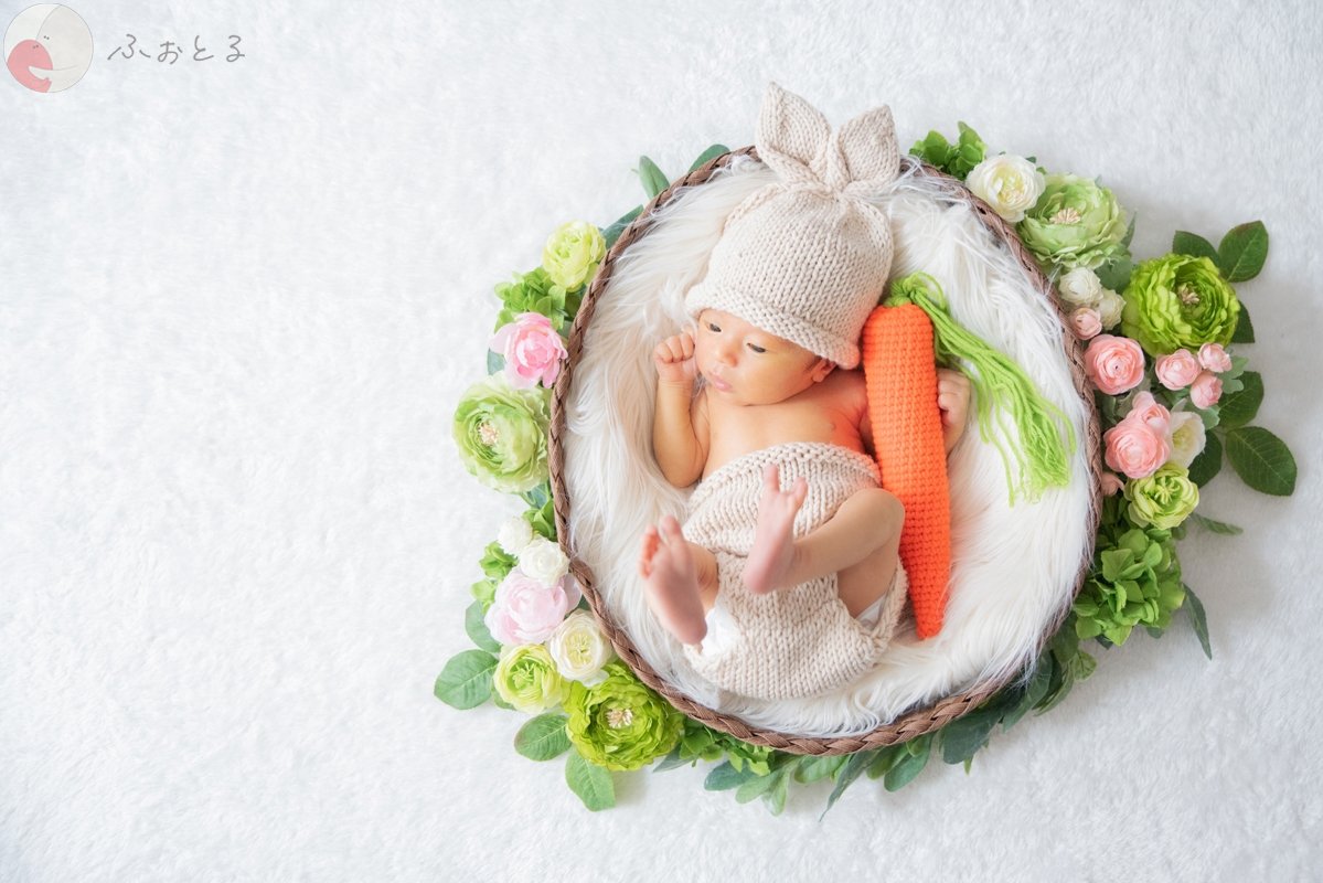 菊川えりこのポートフォリオ0