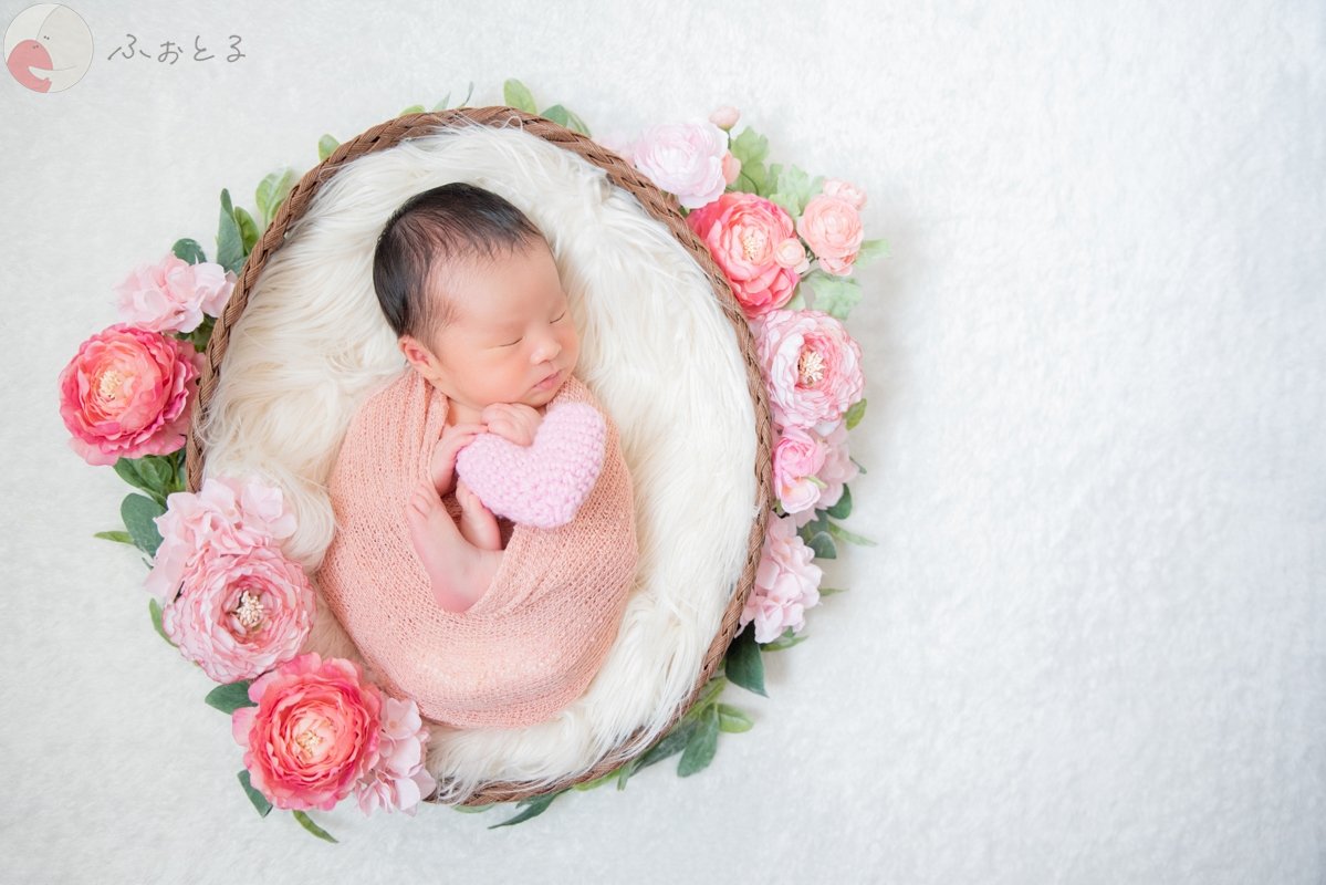 菊川えりこのポートフォリオ1