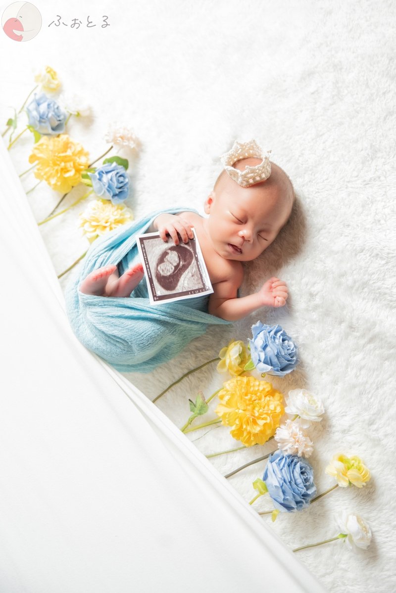 菊川えりこのポートフォリオ2