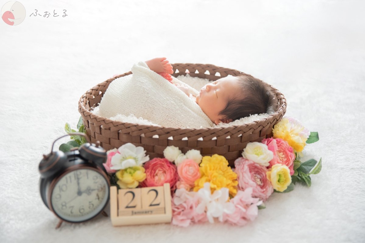 菊川えりこのポートフォリオ3