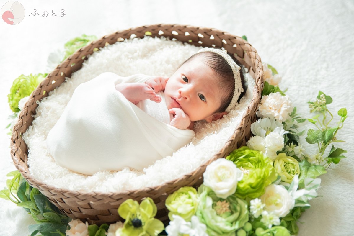 菊川えりこのポートフォリオ5