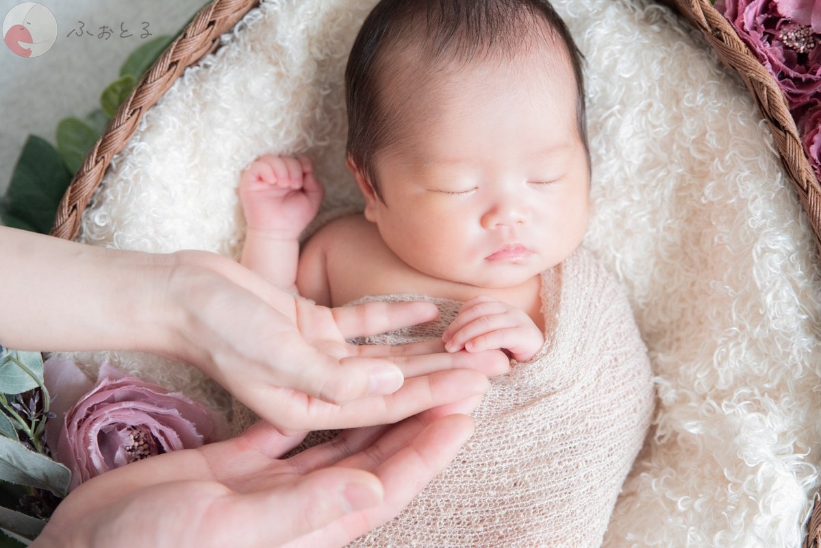 菊川えりこのポートフォリオ8