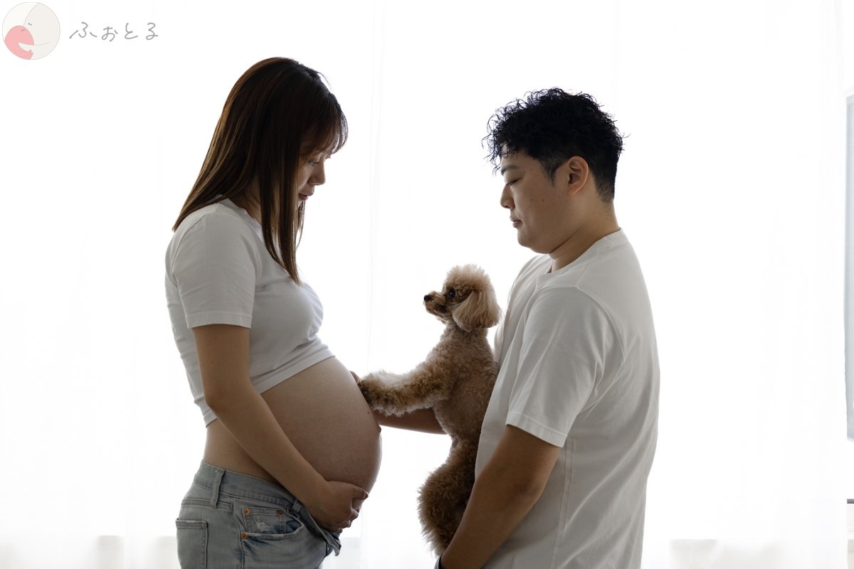 Ayuのポートフォリオ0