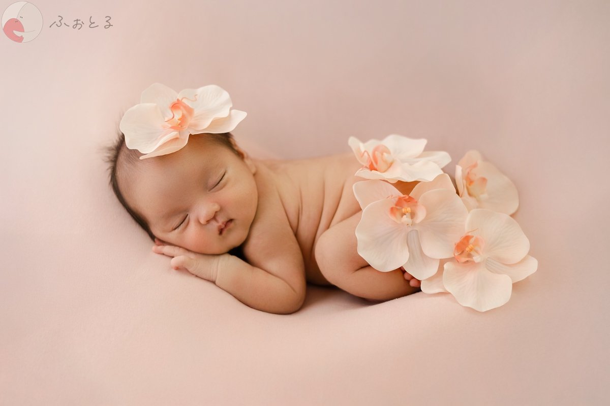 Ayuのポートフォリオ1