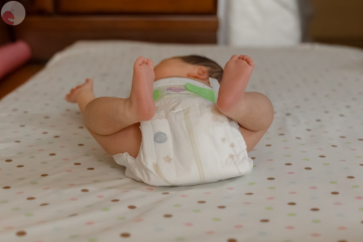 Ayuのポートフォリオ0