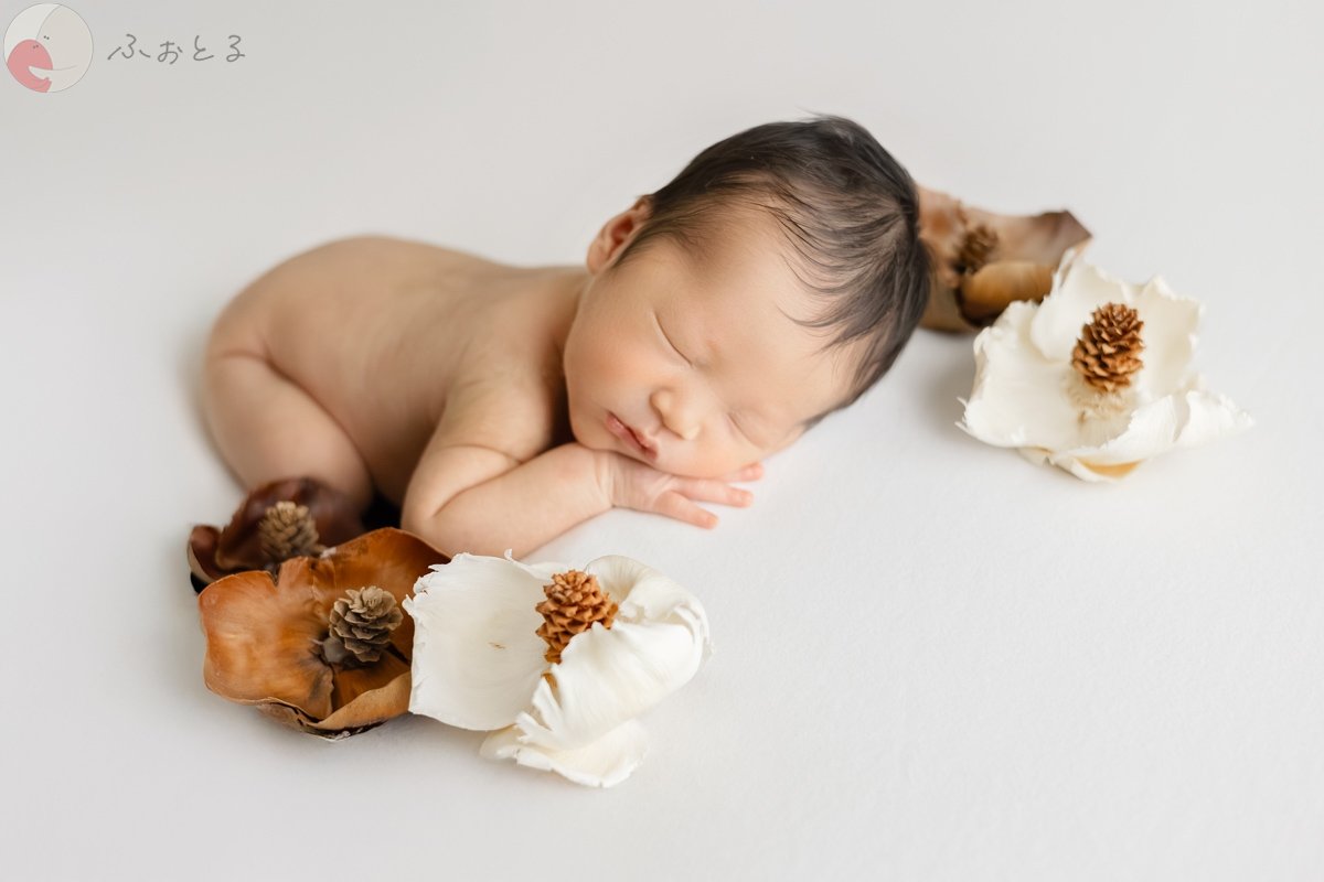 Ayuのポートフォリオ3