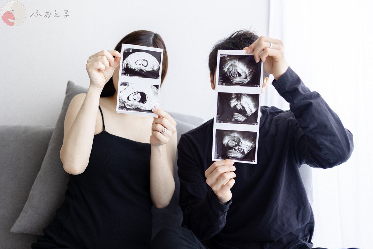 Ayuのポートフォリオ8