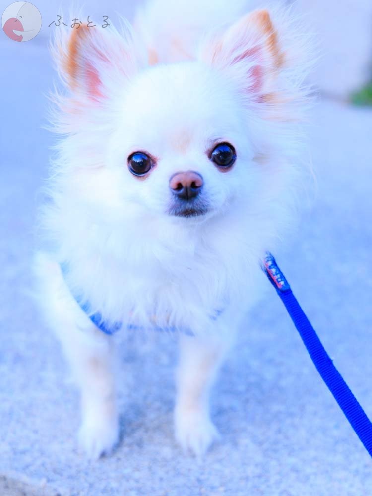 時田充彦のポートフォリオ0