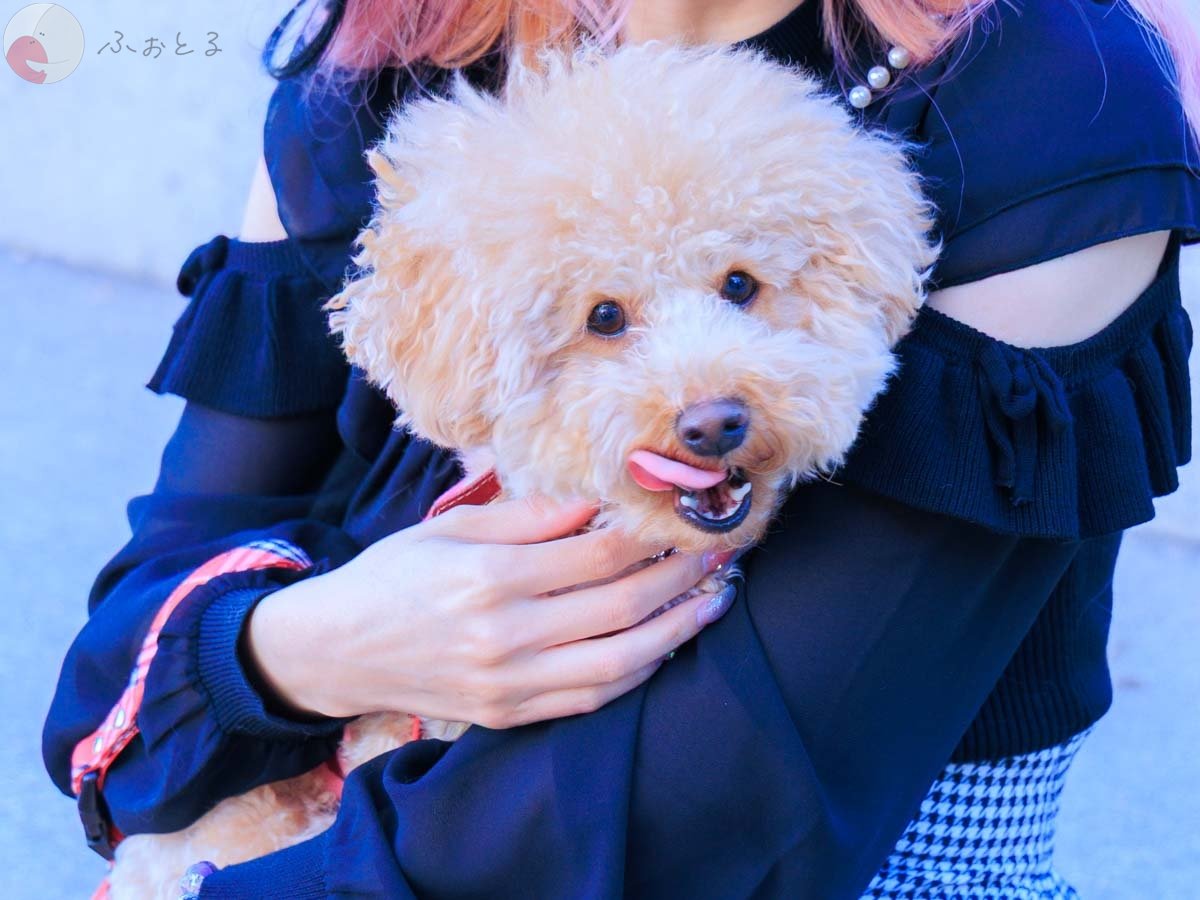 時田充彦のポートフォリオ2