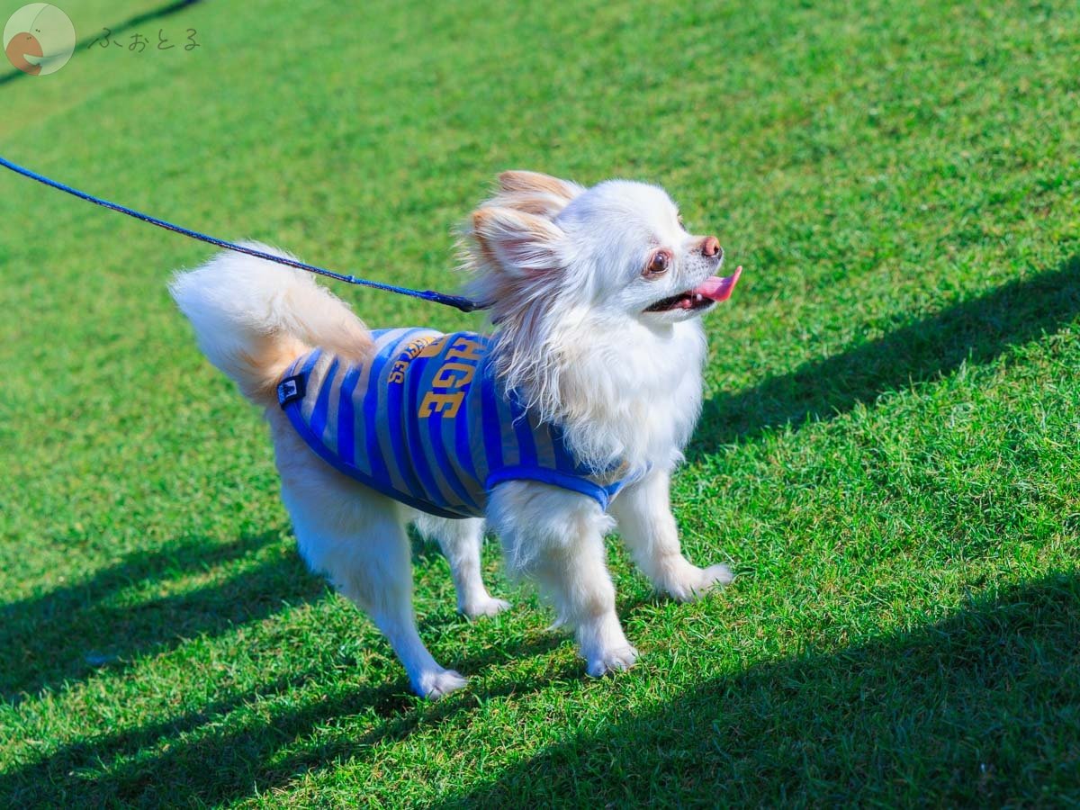 時田充彦のポートフォリオ3