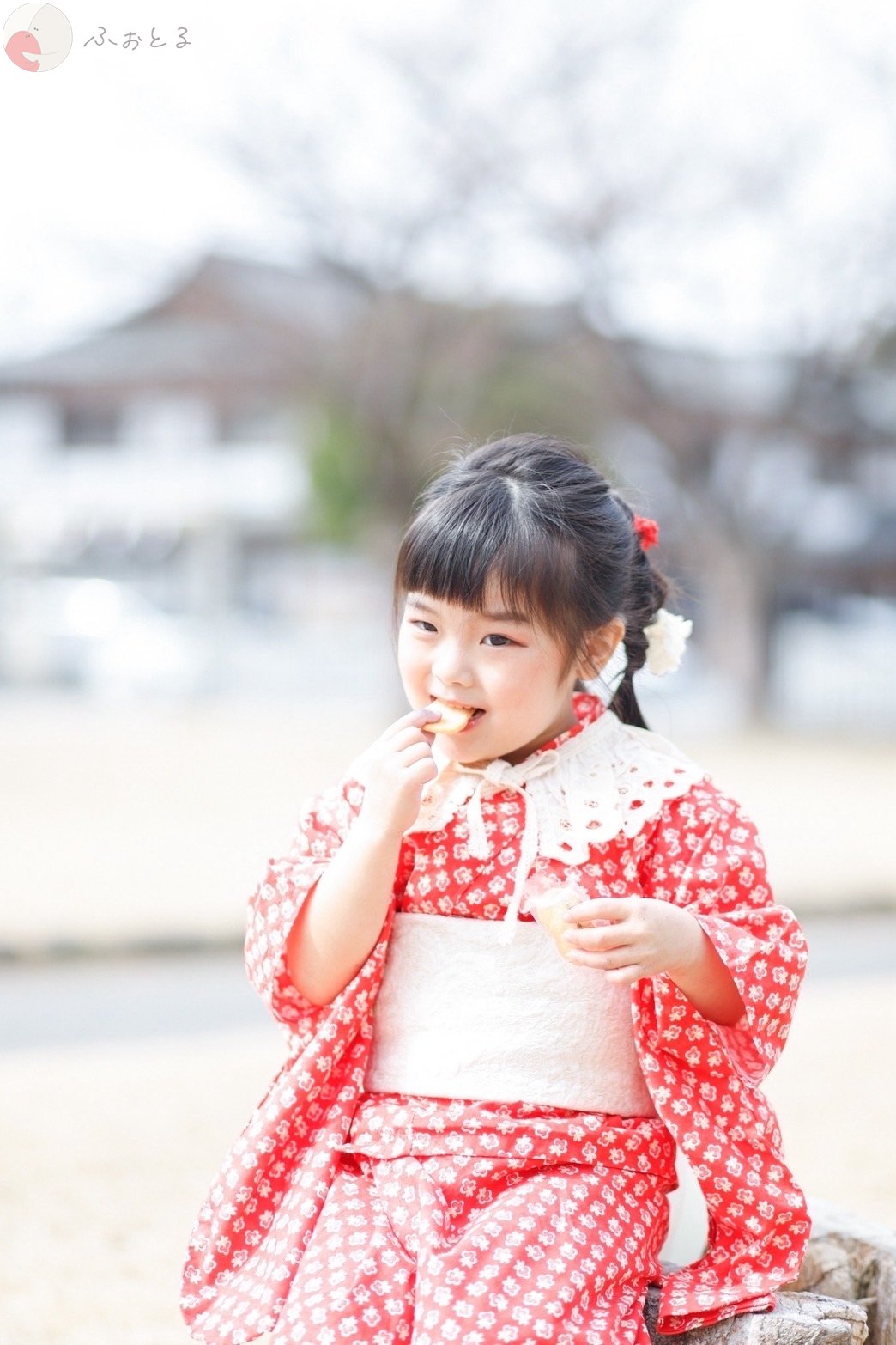 noaのポートフォリオ3