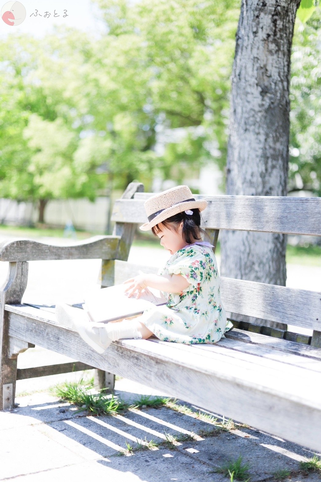 noaのポートフォリオ8