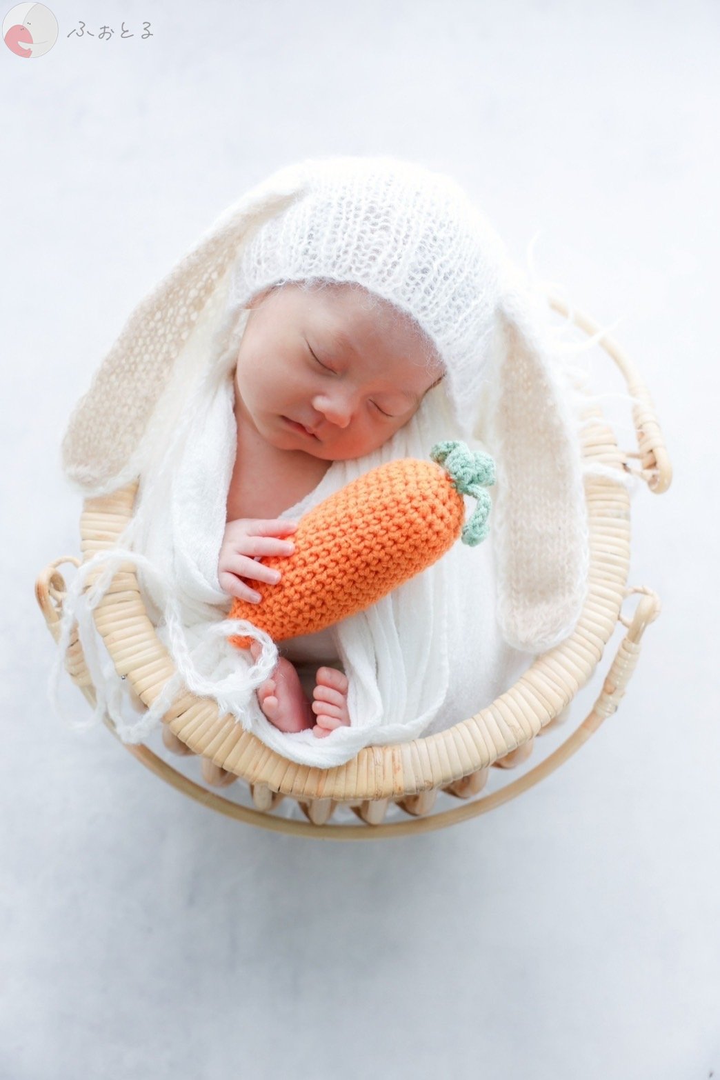 noaのポートフォリオ1