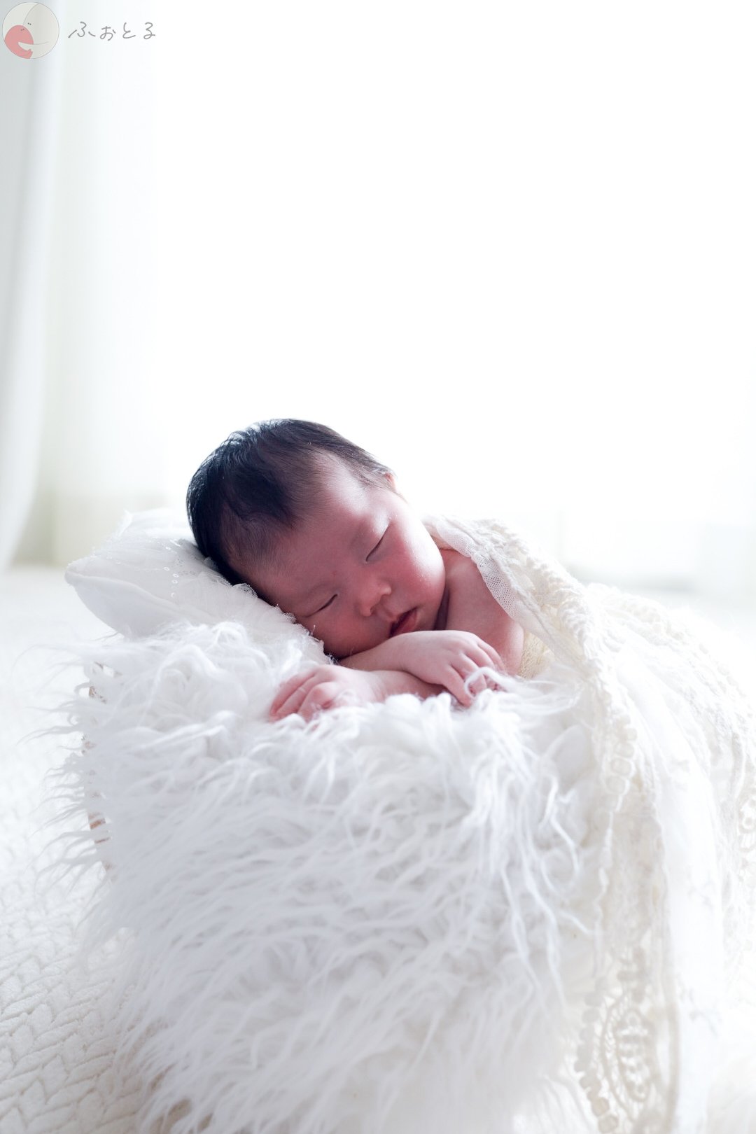 noaのポートフォリオ6