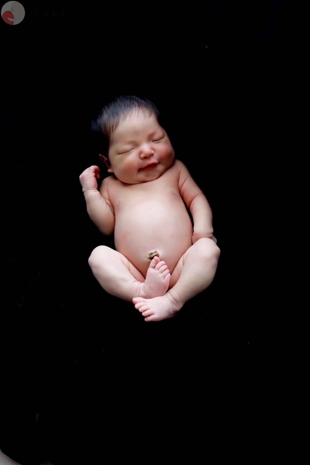 noaのポートフォリオ3