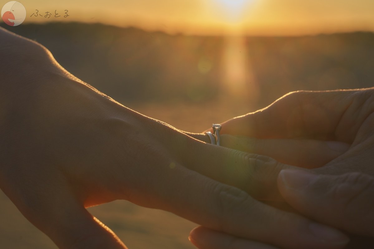 Ryoちゃんのポートフォリオ8