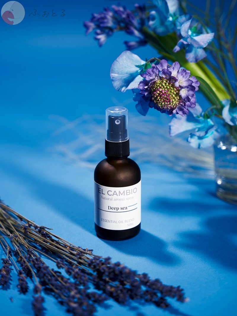 Remonのポートフォリオ1