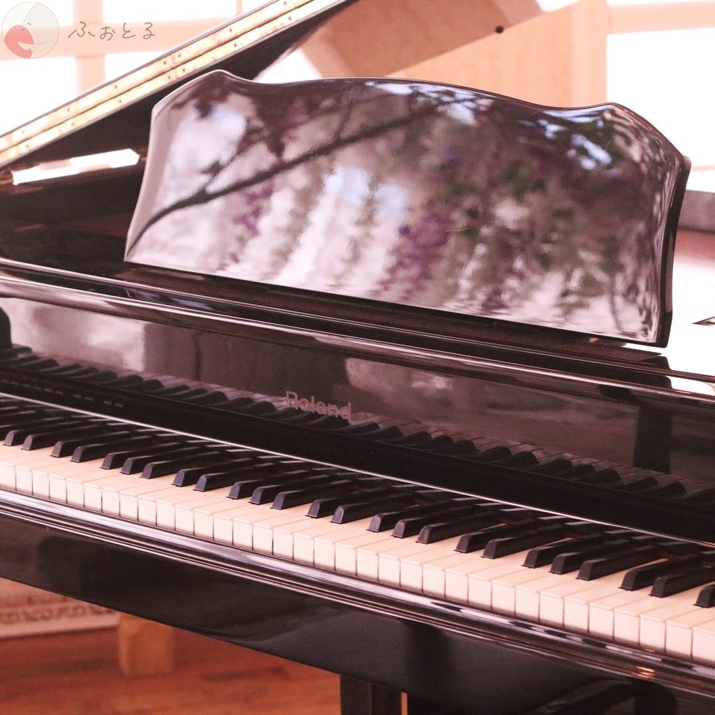 ひよこのポートフォリオ7