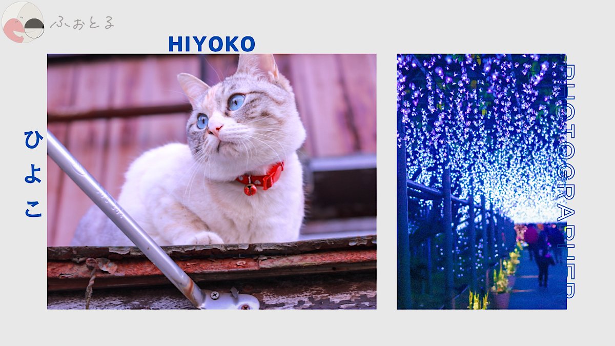 ひよこのポートフォリオ1