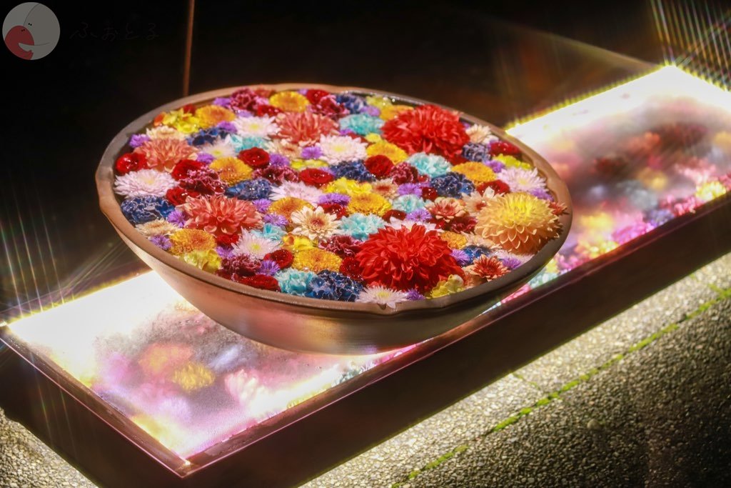 ひよこのポートフォリオ0