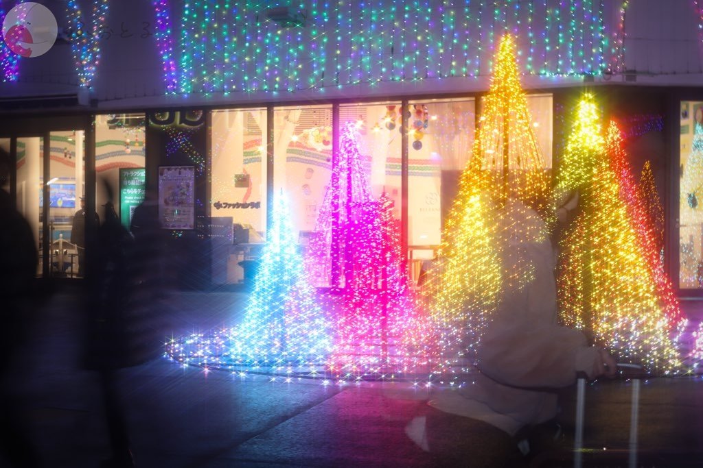 ひよこのポートフォリオ7