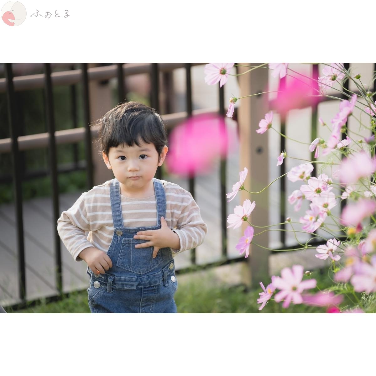 杉浦のポートフォリオ6