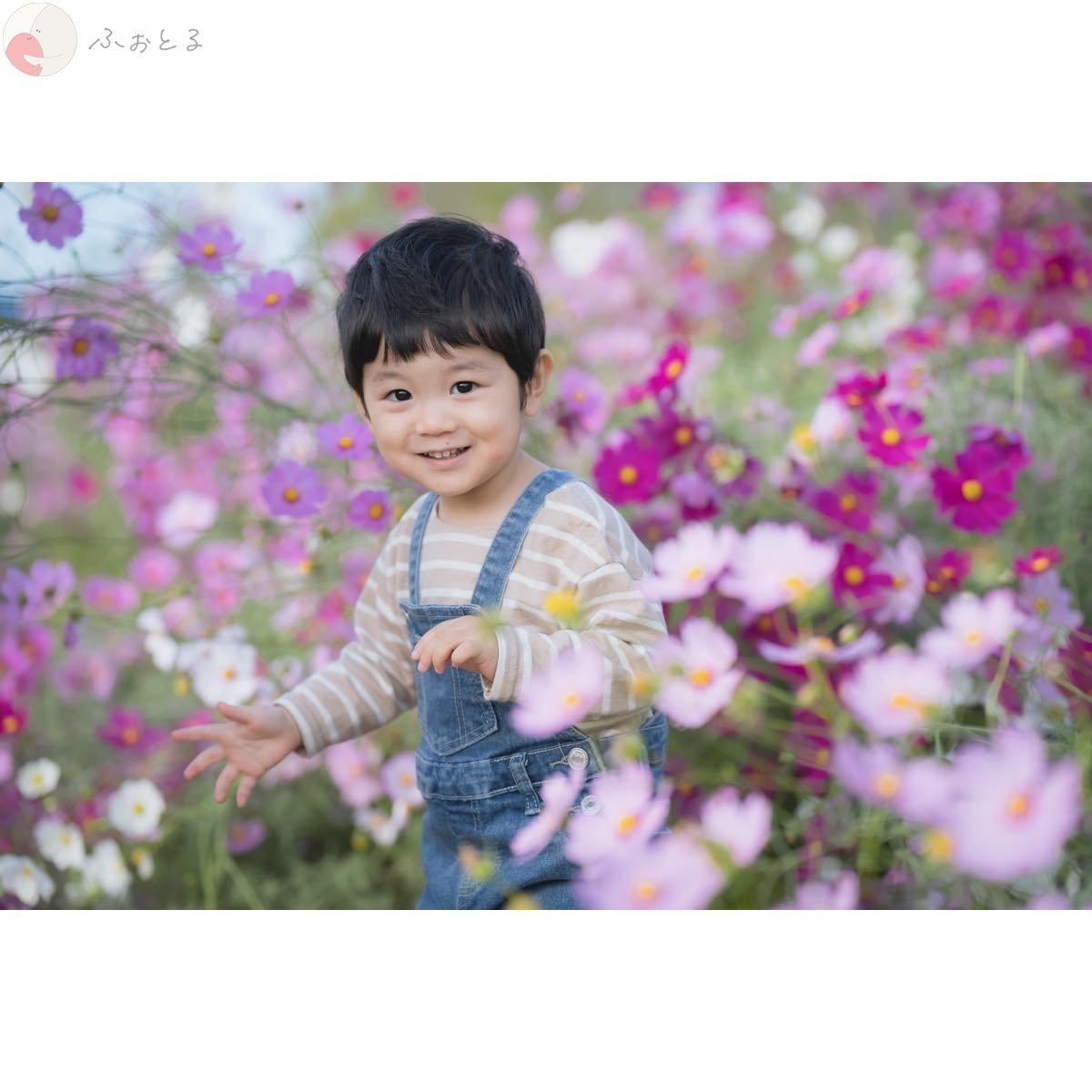 杉浦のポートフォリオ3