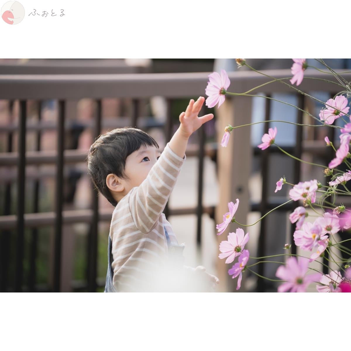 杉浦のポートフォリオ4