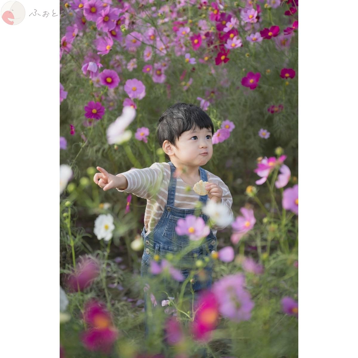 杉浦のポートフォリオ5