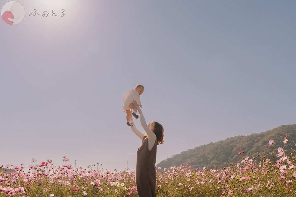 ふなはら　けんたのポートフォリオ3