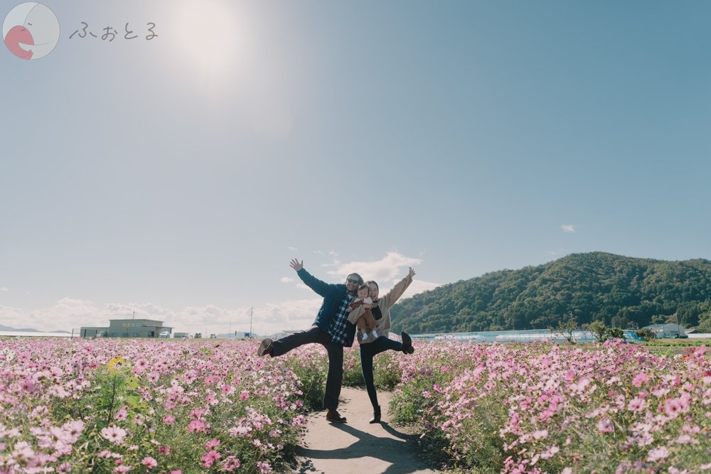 ふなはら　けんたのポートフォリオ6