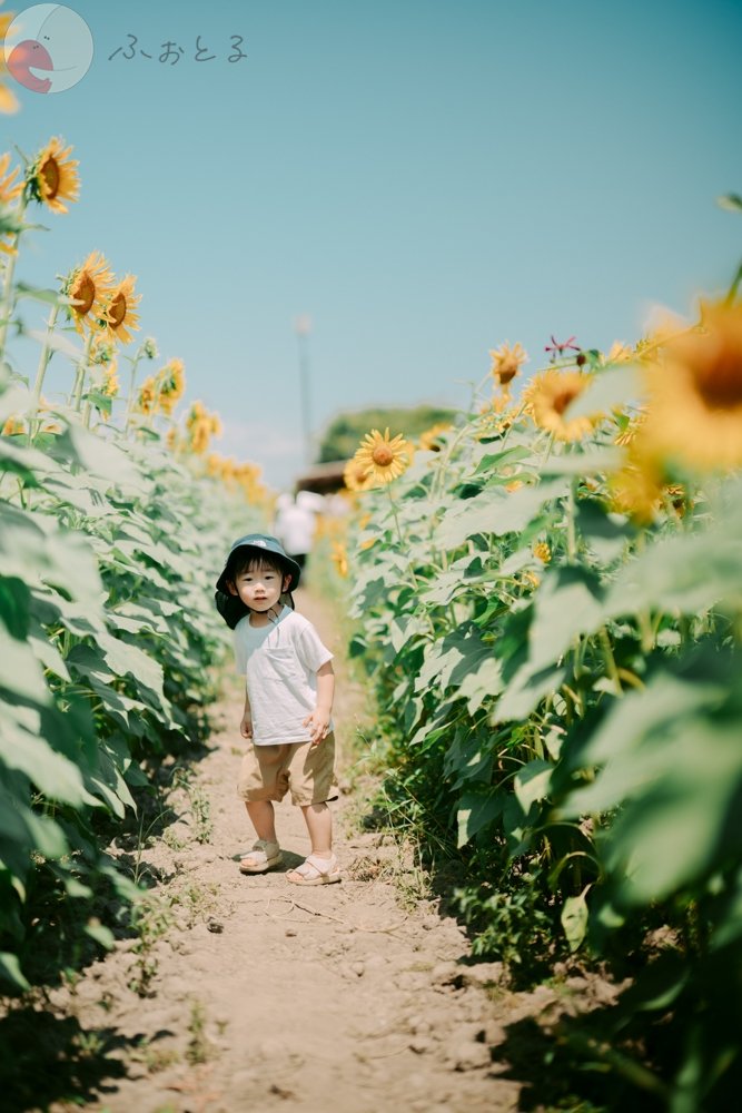 ふなはら　けんたのポートフォリオ2