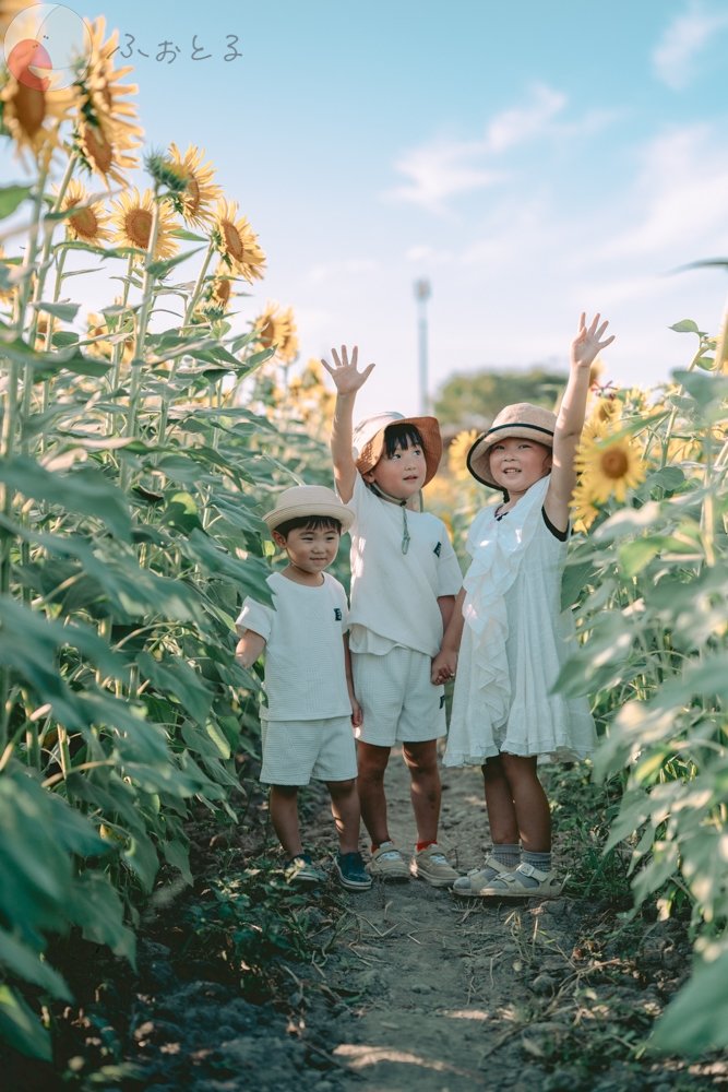 ふなはら　けんたのポートフォリオ3