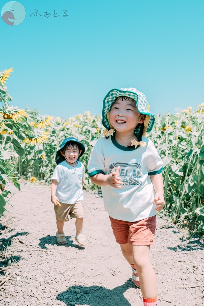 ふなはら　けんたのポートフォリオ4