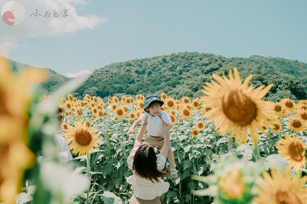 ふなはら　けんたのポートフォリオ7