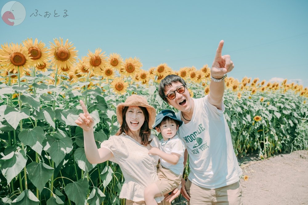 ふなはら　けんたのポートフォリオ8