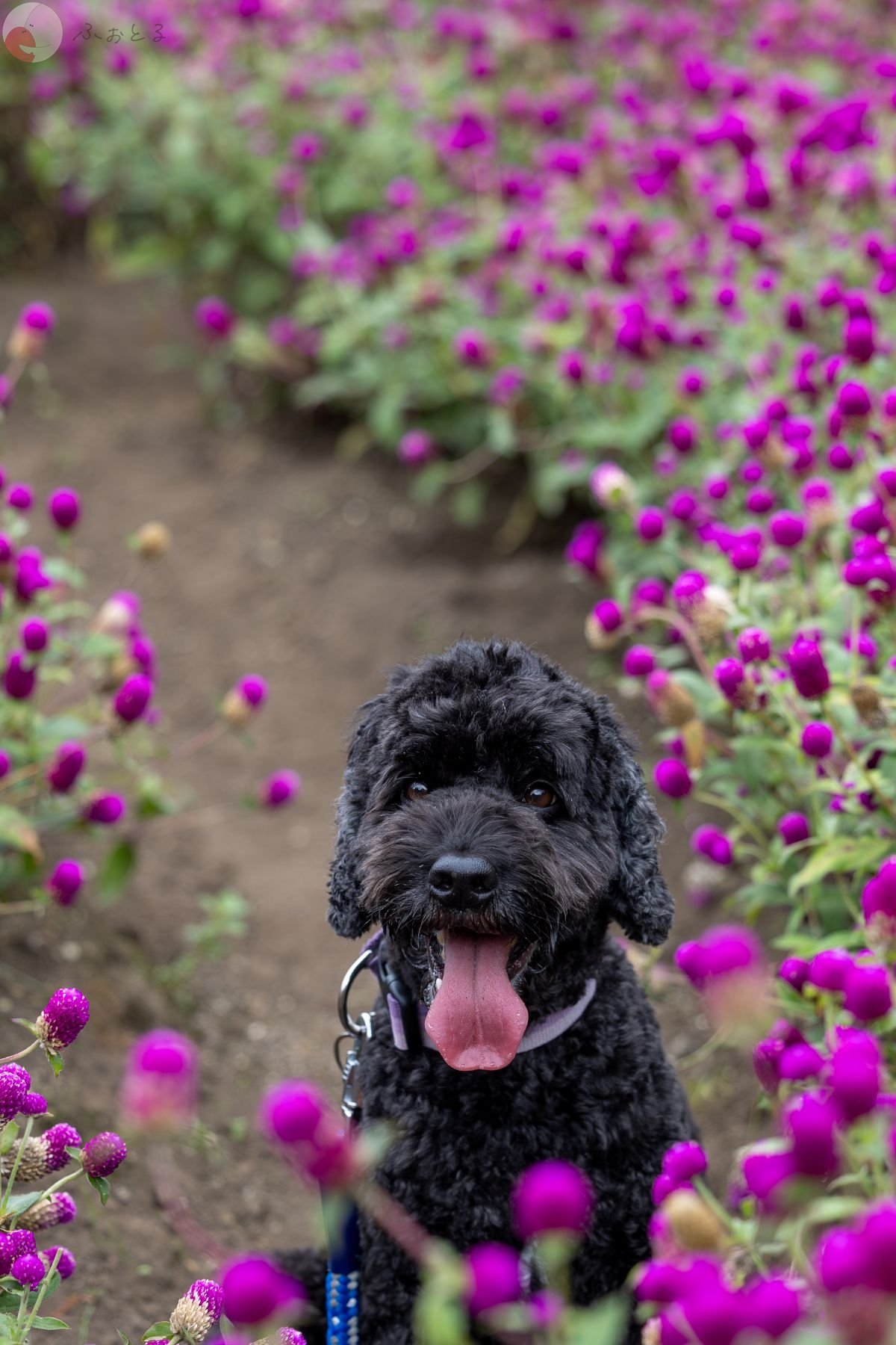 田中 まさひろのポートフォリオ0