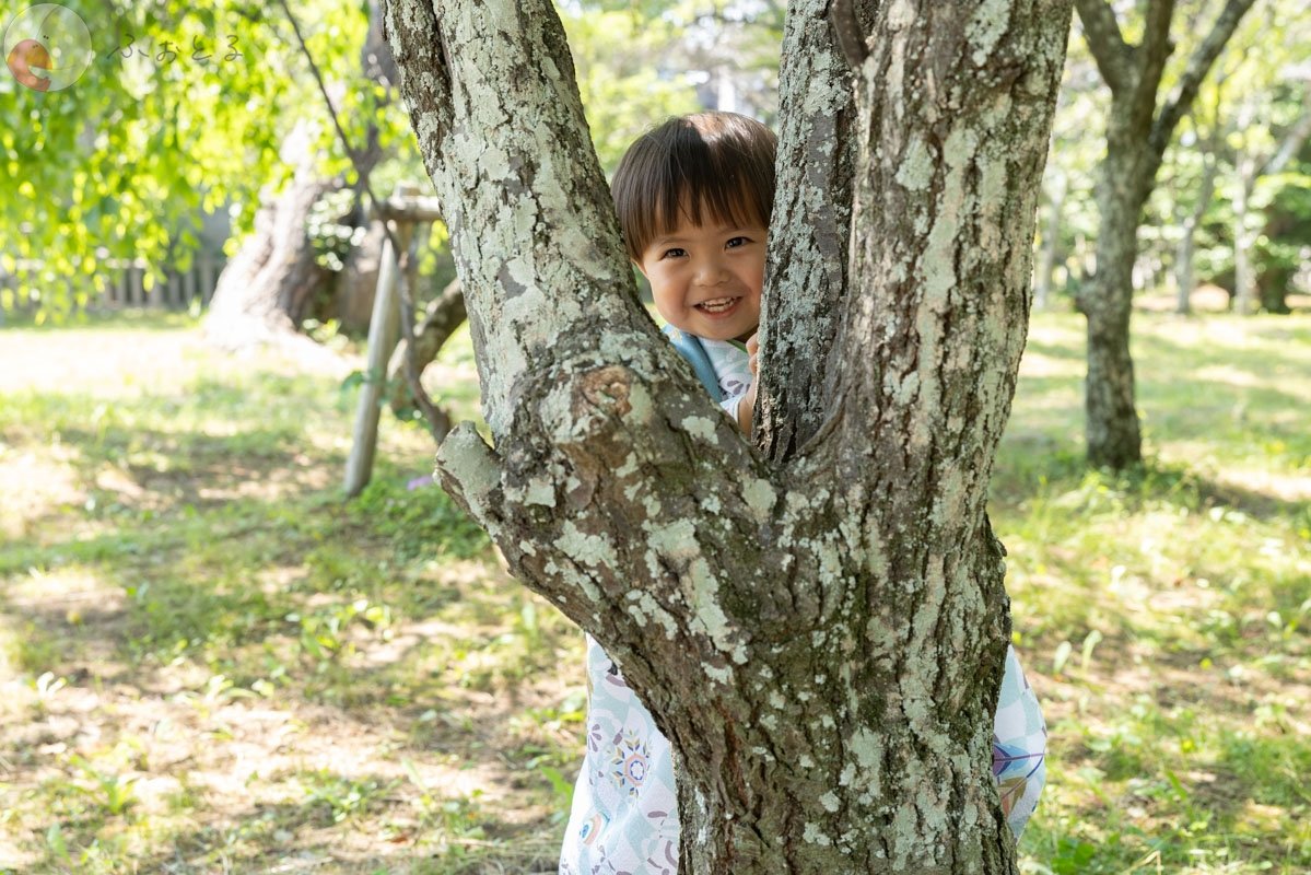 田中 まさひろのポートフォリオ3