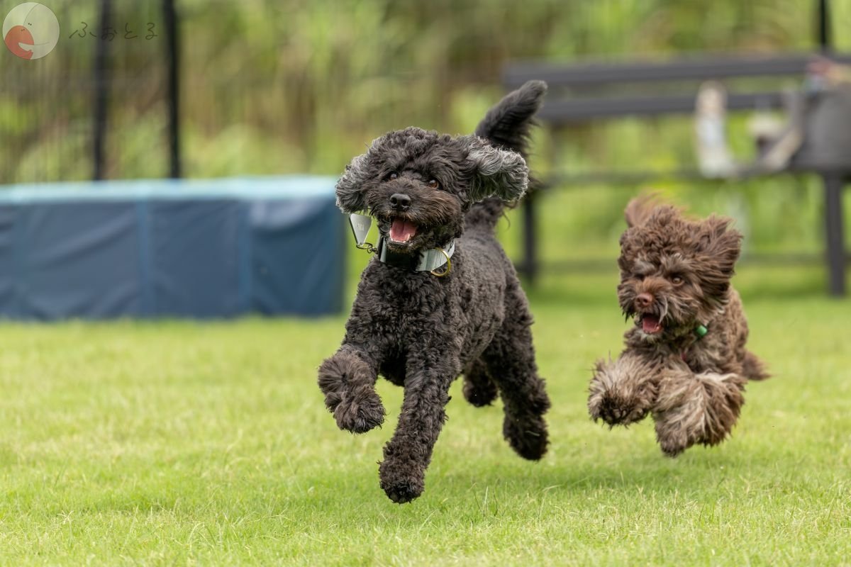 田中 まさひろのポートフォリオ7
