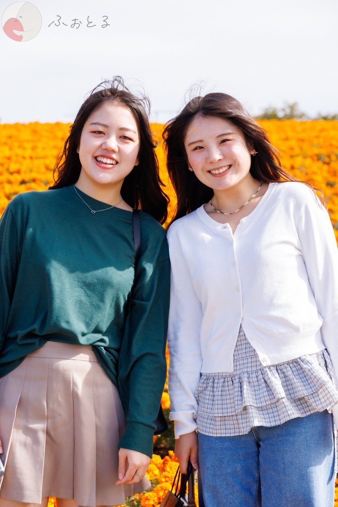 サトルのポートフォリオ1