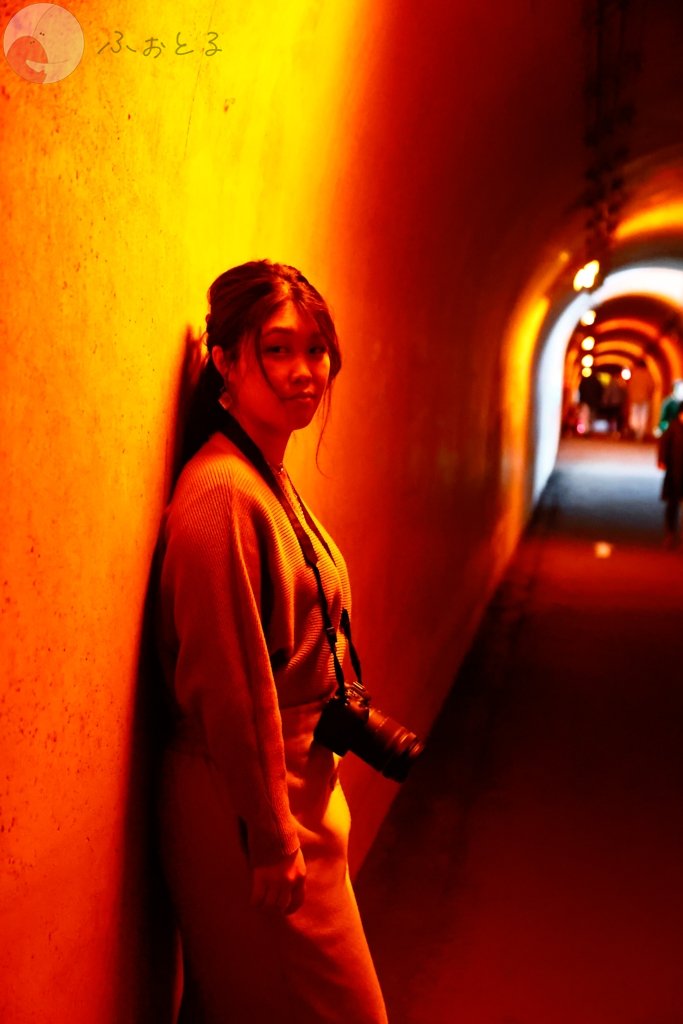 サトルのポートフォリオ6