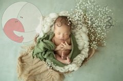 mah photoのポートフォリオ3