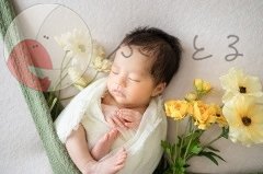 mah photoのポートフォリオ4